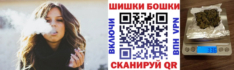 Купить где  Гагарин  Бошки марихуана ГИДРОПОН 